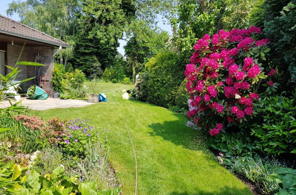 „Jeder braucht einen Garten“