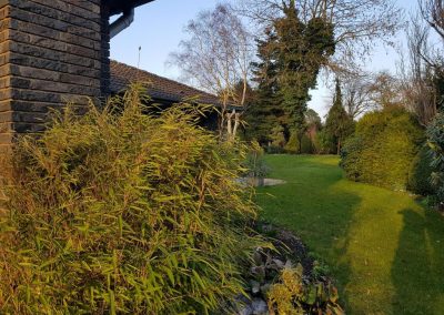 Mein Garten - Das alte Haus